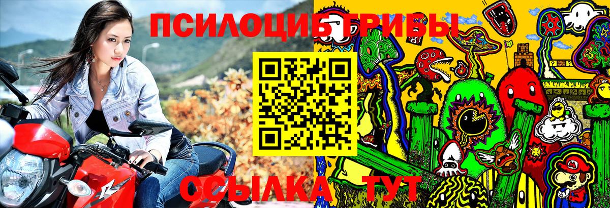 Псилоцибиновые грибы GOLDEN TEACHER  Галлюциногенные грибы GOLDEN TEACHER  Вход с VPN  Дубна 