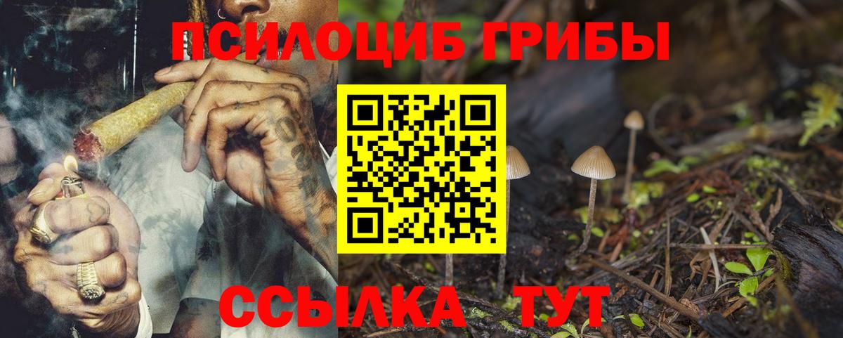 Псилоцибиновые грибы Cubensis Дубна